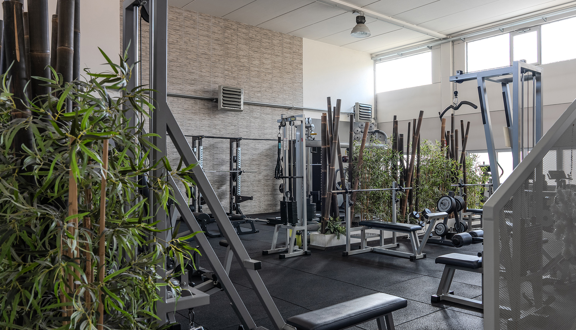 Palestra moderna a Lissone con area fitness e danza